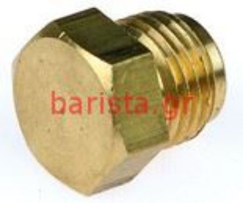 San Marco  Ns-85/europa-95/sprint/golden Coffee Solenoid Group (2) Cap