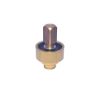 Plug QS Valve