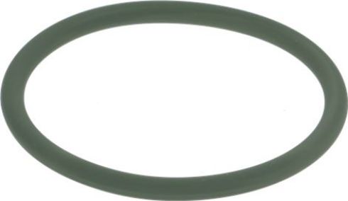 OR-GASKET 04175 FKM